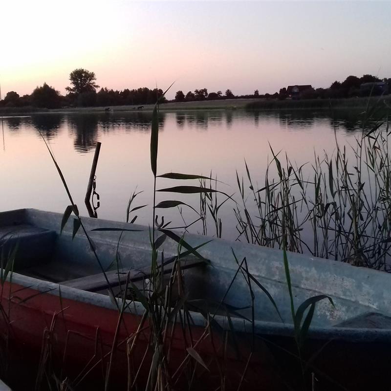 Bungalow - 2 personer -  - Bungalow am See - 17349 - Neetzka