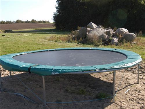 Sommerhus - 8 personer -  - Mosegården - Fåborg - 5600 - Faaborg