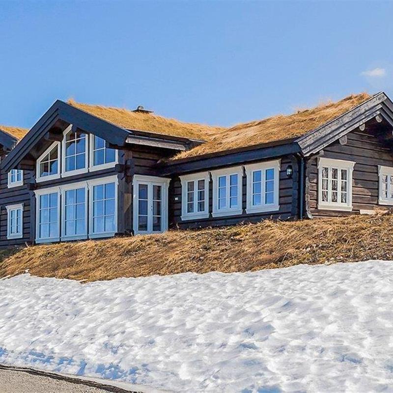 Sommerhus - 15 personer -  - Parkvegen - Rauland/Vierli - 3864 - Rauland