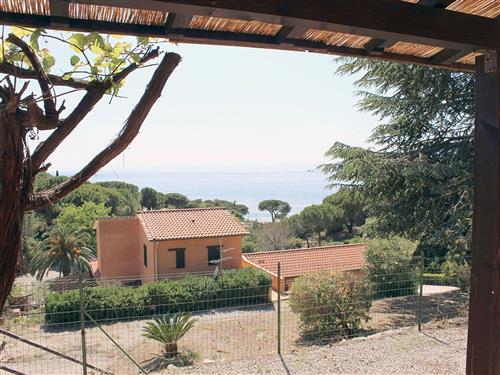 Sommerhus - 1 person -  - Capoliveri - 57031