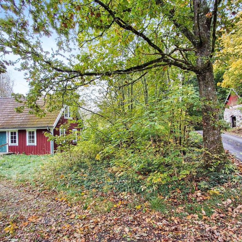 Sommerhus - 8 personer -  - Mörkhult - Osby/Killeberg - 280 72 - Killeberg