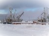 Billede 38