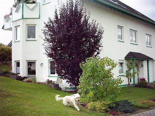 Ferienhaus - 4 Personen -  - Bachstraße - 57642 - Alpenrod