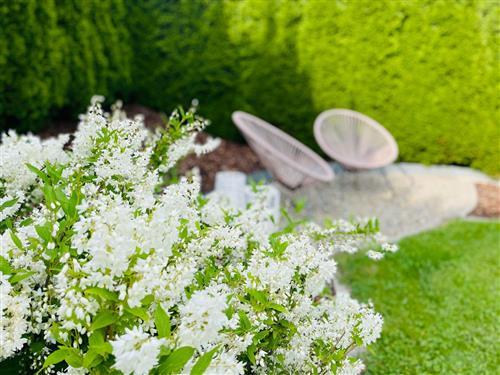 Ferielejlighed - 2 personer -  - St. Ruprecht - 8862 - St. Georgen Am Kreischber