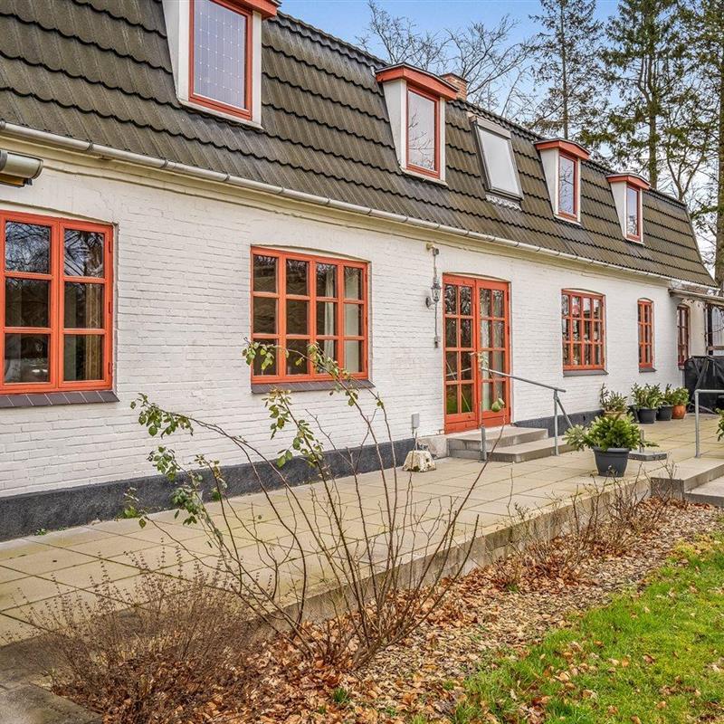 Ferienhaus - 12 Personen -  - Ulveskovvej - Tranum Klit - 9460 - Brovst