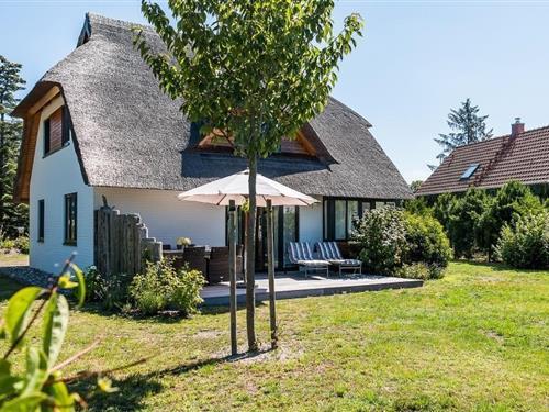 Feriehus - 6 personer -  - Trommelplatz - 18375 - Wieck