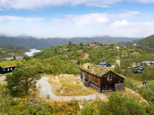 Ferienhaus - 8 Personen -  - Svarttjønnåsen - Haukelifjell/Edland - 3895 - Edland