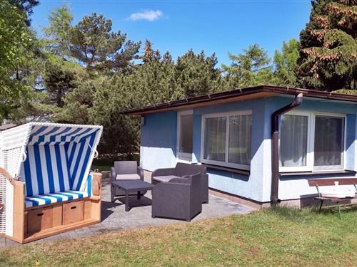 Bungalow - 4 personer -  - 17419 - Kamminke