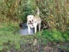 Bild 15