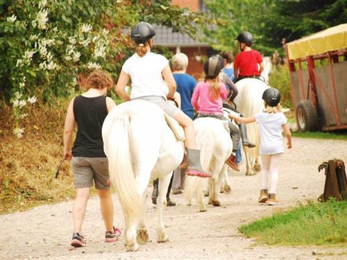 Holiday Home/Apartment - 4 persons -  - Dorfstraße - 24996 - Ahneby