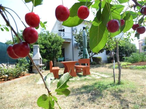 Holiday apartment - 4 persons -  - Krk/Milohnici - 51511