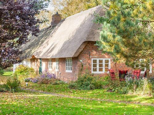 Feriehus - 3 personer -  - Kjerstr. - 25923 - Humptrup