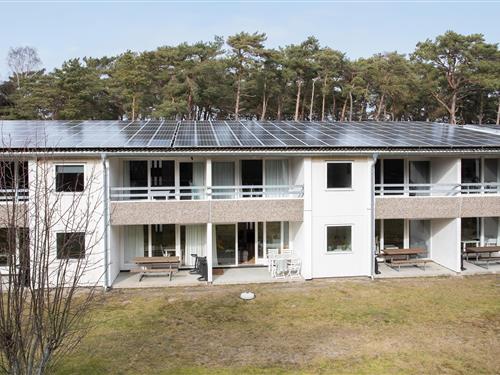 Holiday apartment - 4 persons -  - Sirenevej 2 st, - Dueodde - 3730 - Nexø