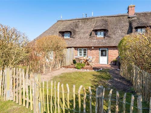 Sommerhus - 3 personer -  - 25938 - Wyk Boldixum