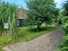 Bild 25