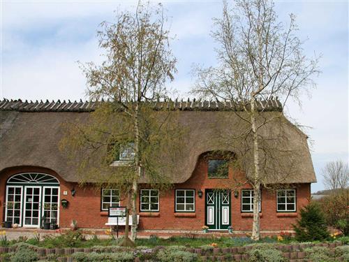 Ferieleilighet - 5 personer -  - Goldhöft - 24395 - Gelting