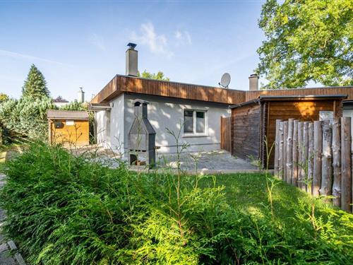 Sommerhus - 4 personer -  - Sternensiedlung - 17252 - Schwarz