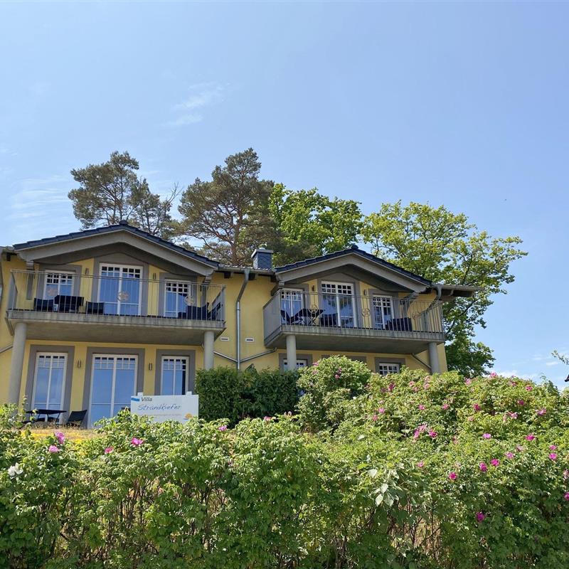 Ferielejlighed - 5 personer -  - Brautsteg - 18586 - Baabe (Ostseebad)