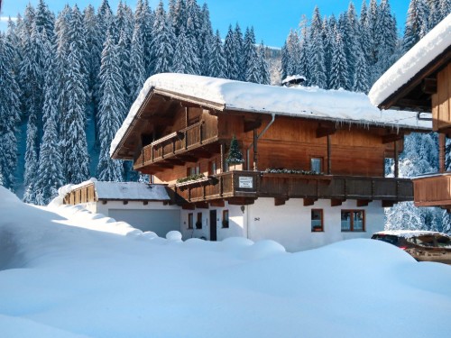 Holiday apartment - 3 persons -  - 6313 - Wildschönau