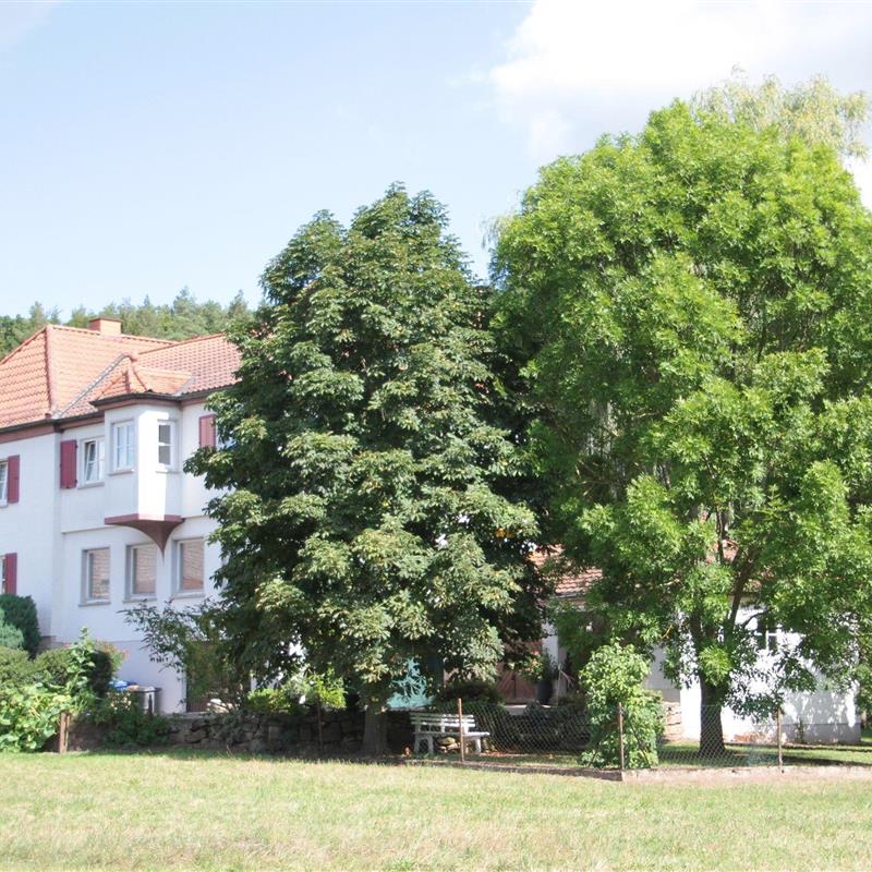 Ferielejlighed - 2 personer -  - Hauptstraße - 97656 - Oberelsbach