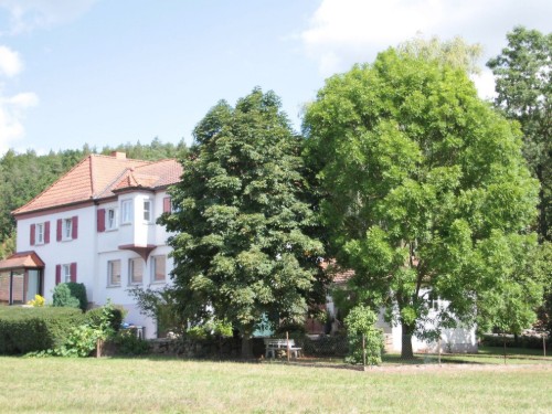 Semesterlägenhet - 2 personer -  - Hauptstraße - 97656 - Oberelsbach