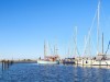 Billede 24 - Udsigt over vand