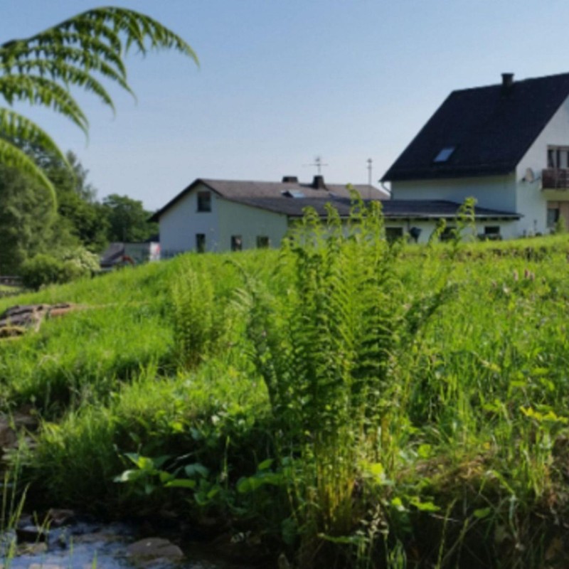 Ferielejlighed - 4 personer -  - Borwiese - 54411 - Deuselbach