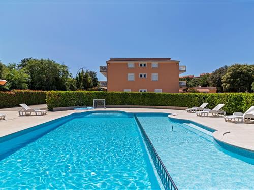 Mobile home - 6 persons -  - 52100 - Banjole