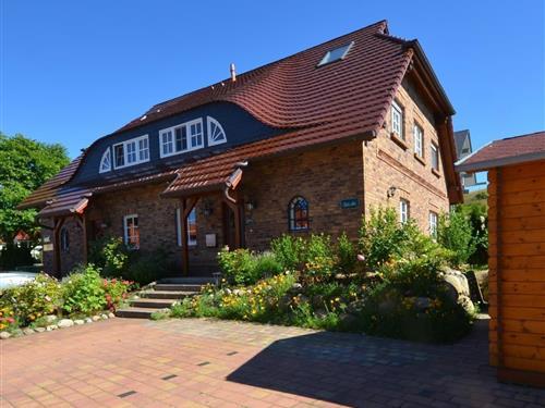 Sommerhus - 8 personer -  - Zum Höft 44b - 18586 - Gager