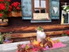 Bild 13