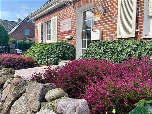  - 2 Personen -  - Mittelweg - 29640 - Schneverdingen