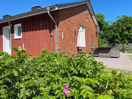 Fritidshus - 4 personer -  - An Hinrichsbarg - 23769 - Fehmarn