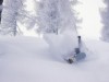 Bild 17