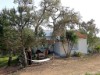 Bild 13