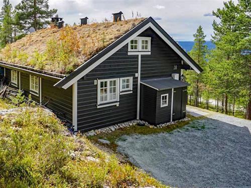 Sommerhus - 7 personer -  - Renåfjellveien - Renåfjellet/Rendalen - 2485 - Rendalen