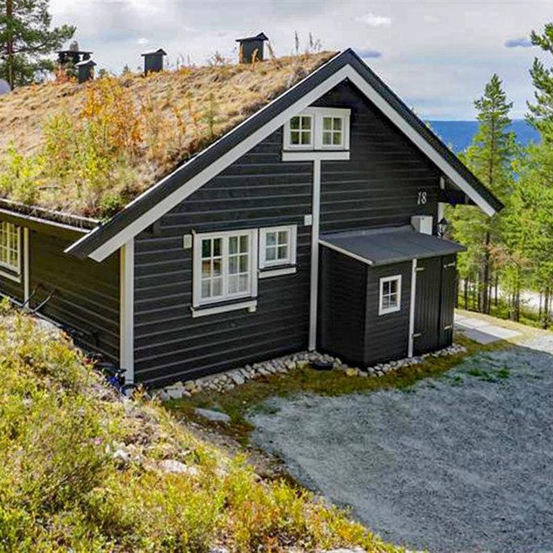 Sommerhus - 8 personer -  - Renåfjellveien - Renåfjellet/Rendalen - 2485 - Rendalen