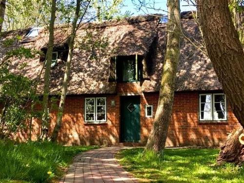 Holiday home - 4 persons -  - Norderfriedrichskoog - 25870