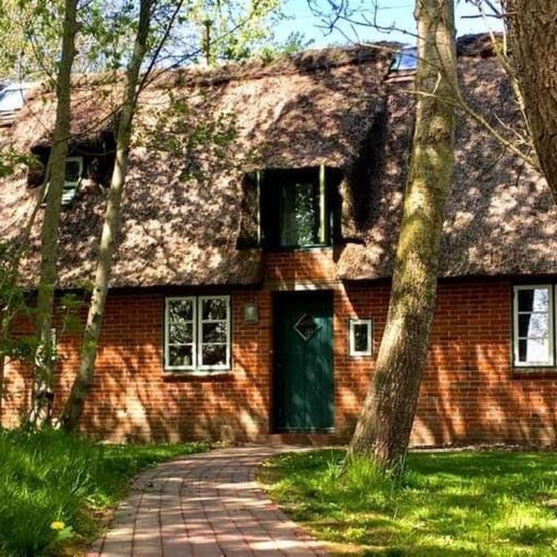 Sommerhus - 4 personer -  - Norderfriedrichskoog - 25870