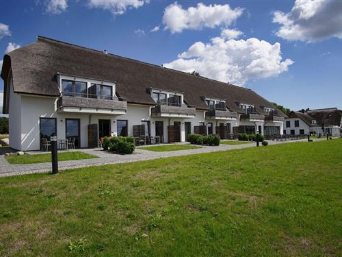 Ferieleilighet - 4 personer -  - Kastanienallee - 18581 - Wreechen