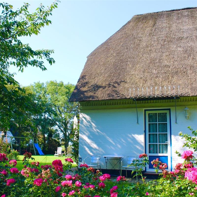 Ferielejlighed - 2 personer -  - Traumstrasse - 25938 - Witsum