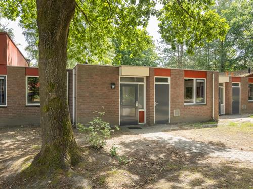 Holiday Home/Apartment - 4 persons -  - 6002ST - Weert