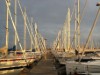 Billede 16