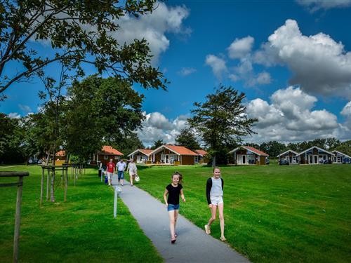 Skærbækcentret - Holiday cottage - 43 m² - dog allowed