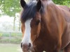 Bild 14