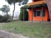 Billede 20