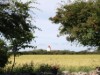 Bilde 6