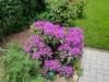 Bild 40 - Aussen