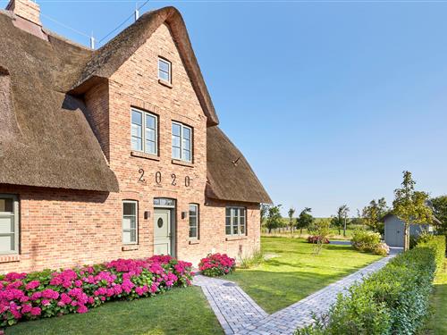 Sommerhus - 6 personer -  - Waaster Bobdikem 1 b - 25938 - Oldsum