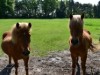 Bild 17