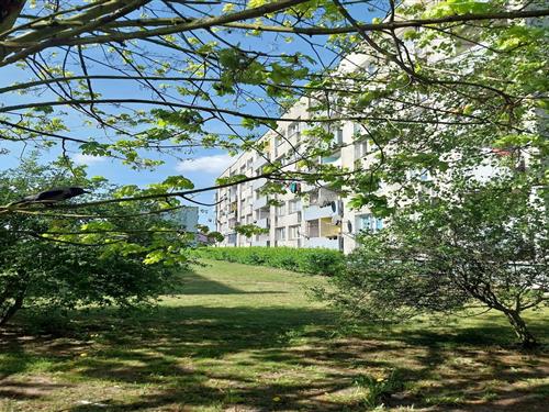 Ferienwohnung - 2 Personen -  - 72600 - Swinoujscie